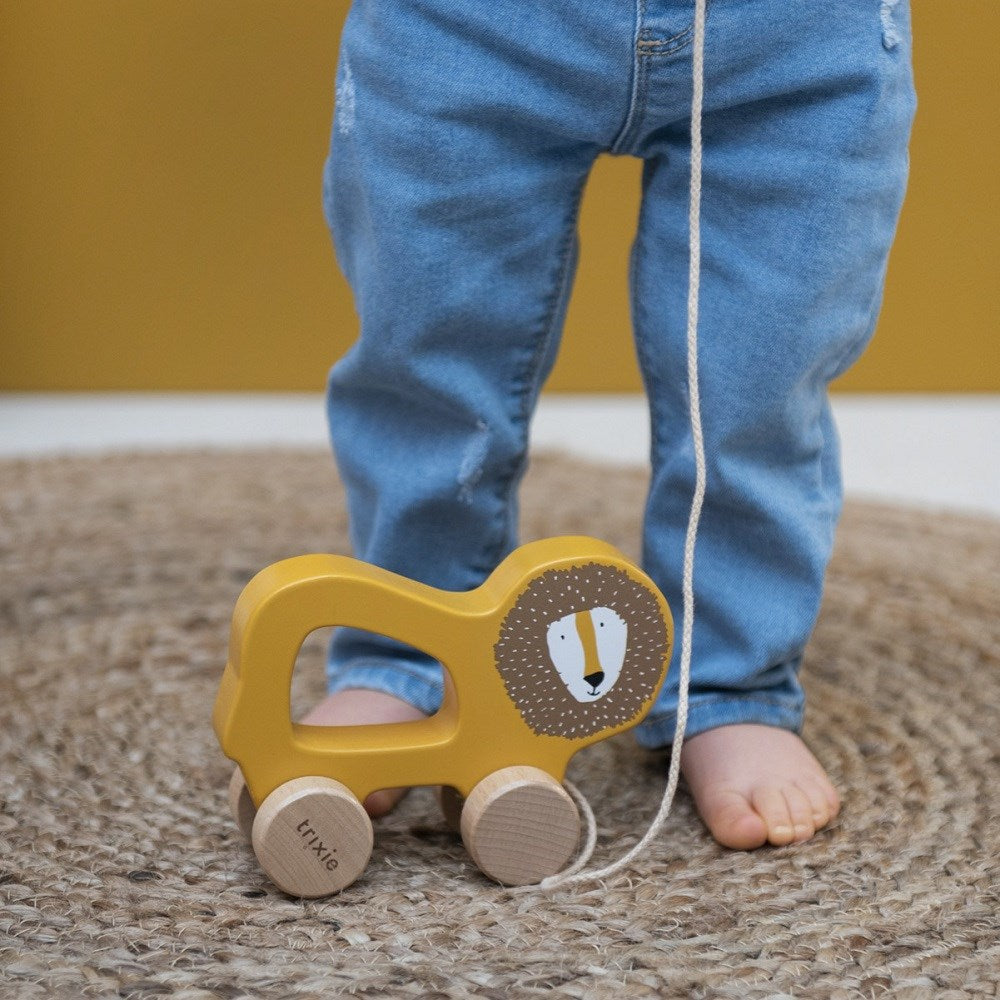 Trixie Mr. Lion - Ahşap İpli Araba