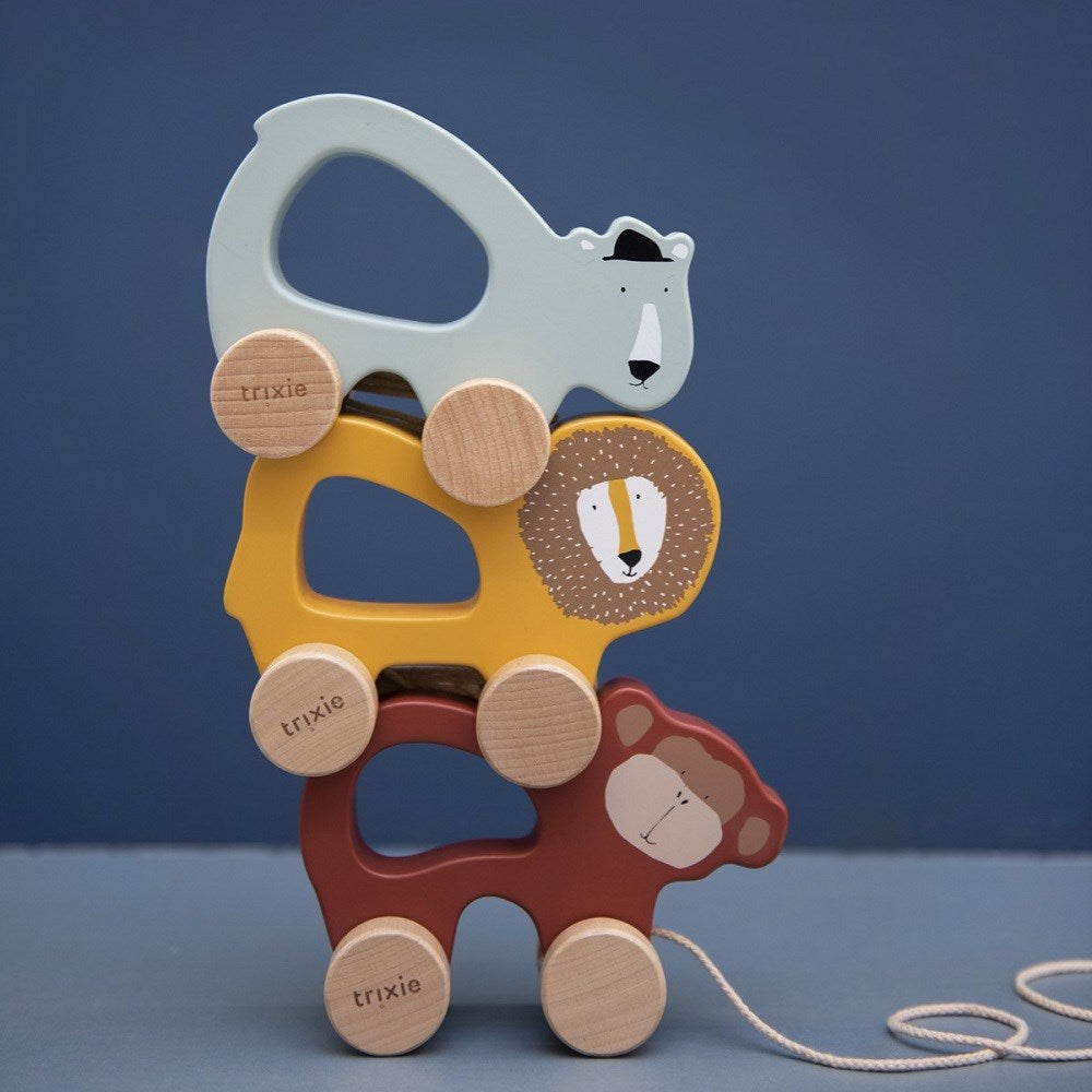 Trixie Mr. Polar Bear - Ahşap İpli Araba