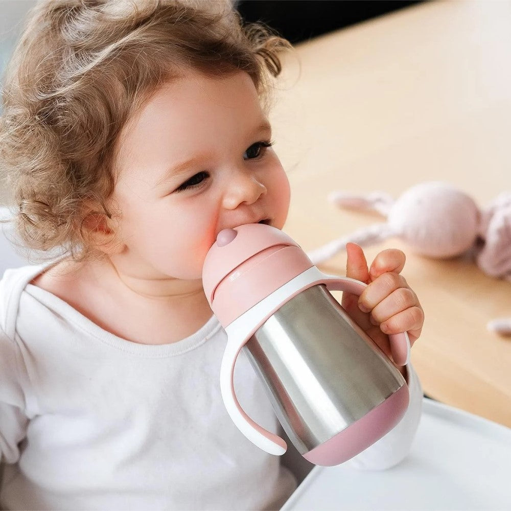 Beaba 250 Ml Çelik Pipetli Suluk Old Pink